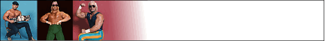 Click here to go to Austin Idol's Official Site
