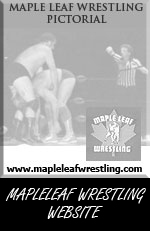 Click here to go to the MLW's Site